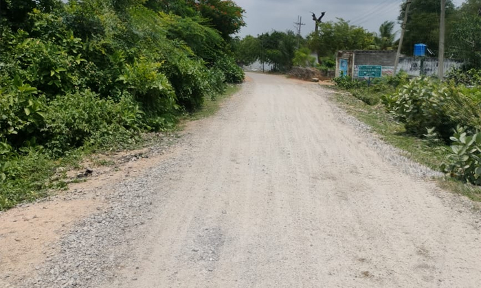  Munagala Mandal People Wants Collector To Repair R And B Road, Munagala Mandal ,-TeluguStop.com