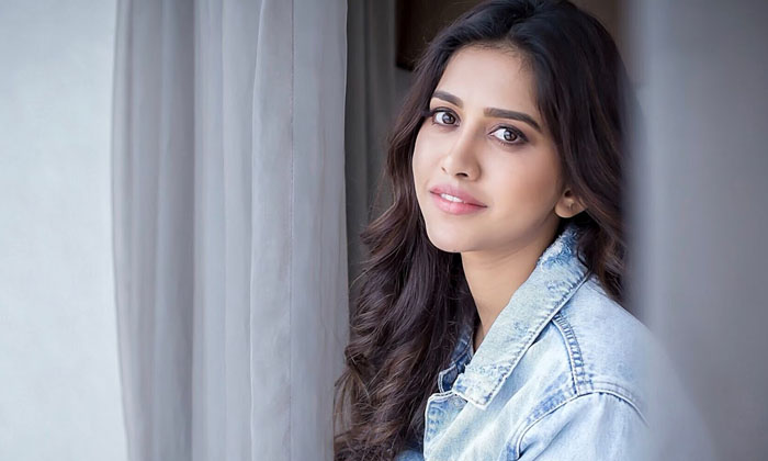  Nabha Natesh Not Getting Big Offers ,nabha Natesh , Tollywood, Ismart Shankar,-TeluguStop.com