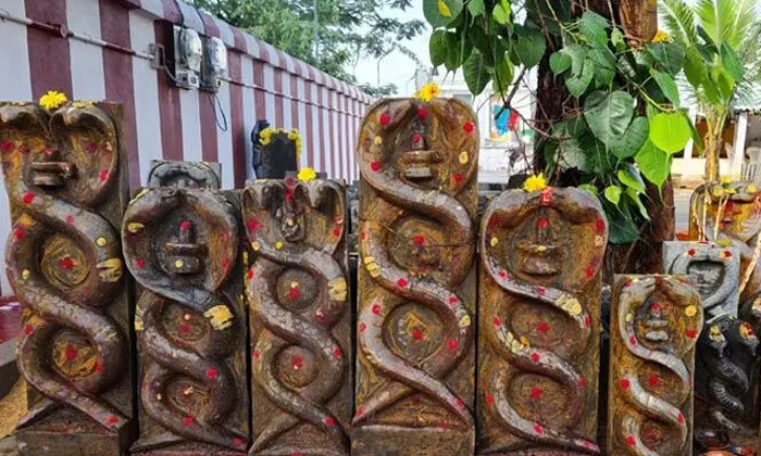 Telugu Bhakti, Devotional, Krishna, Mopidevi Temple, Nagadosha, Naga Dosham, Rah