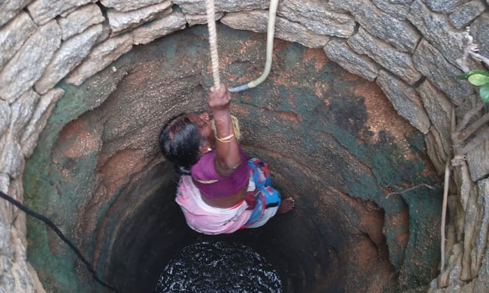  An Old Woman Who Fell Into A Well After Being Attacked By Monkeys, Old Woman ,-TeluguStop.com