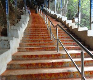  Establishment Of Wildlife Out Post On Tirumala Walkway-TeluguStop.com