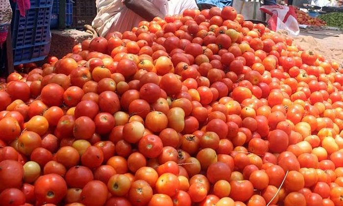  Tomoto Prices In Ap Kurnool Market Details Here Goes Viral In Social Media , Ku-TeluguStop.com