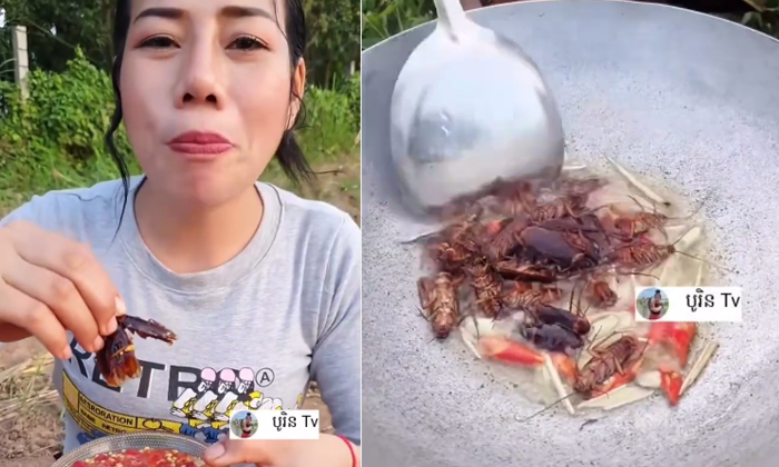  Woman Eating Cockroach Fry With Tomato Chilli Sauce Viral Details ,fry, Latest N-TeluguStop.com