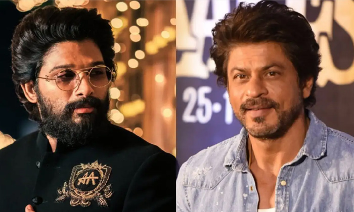  Hero Allu Arjun Praises Shah Rukh Khan Jawan Movie,shah Rukh Khan, Jawan Movie,a-TeluguStop.com