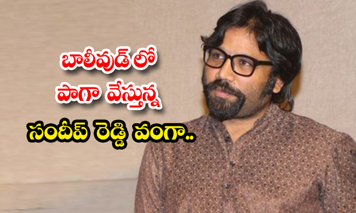  Animal Movie Director Sandeep Reddy Vanga To Focus On Bollywood,animal Movie,arj-TeluguStop.com