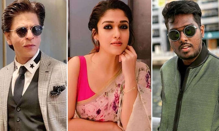 Telugu Atlee, Guestrole, Jawan, Nayanathara, Priyamani, Sharukh Khan-Latest News