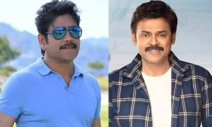  To Compete With Chiranjeevi Balayya, Venky And Nag Should Do This , Balakrishna-TeluguStop.com