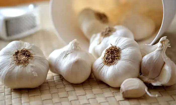 Telugu Garlic, Garlic Pillow, Tips, Pillow, Telugu-Telugu Health Tips