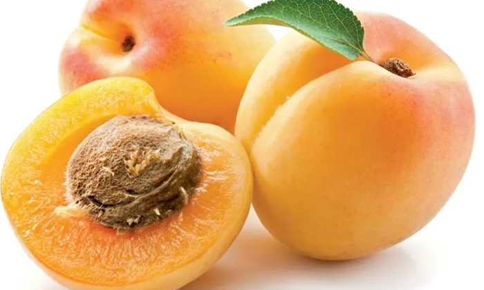 Telugu Apricots, Apricotsoats, Bonebooster, Tips, Healthy, Knee Pain, Latest-Tel