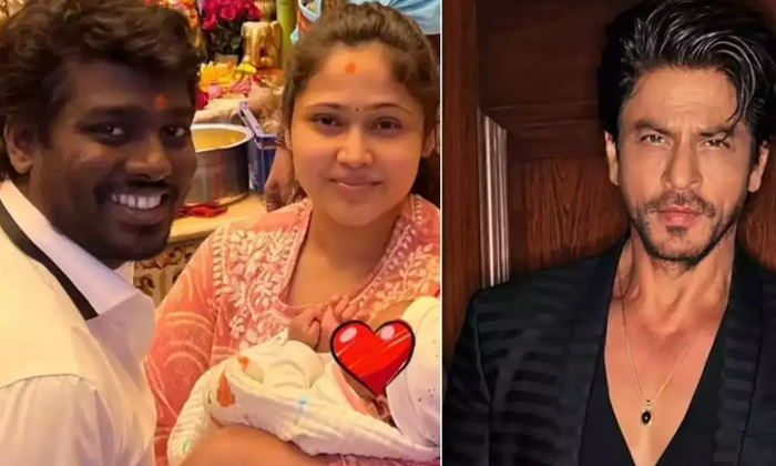 Telugu Actress Priya, Jawan Atlee, Jawan, Nayanatra, Shah Rukh Khan-Movie