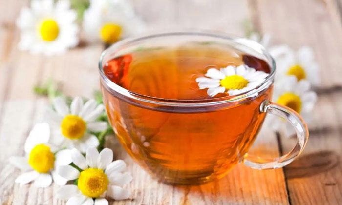  Do You Know How Our Ancestors Lived For Longer Days , Chamomile Tea, Health , He-TeluguStop.com