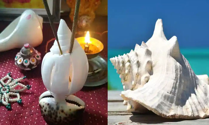 Telugu Bhakti, Conch, Devotional, Goddess Lakshmi, Kshatriyas, Mahavishnu, Sanat