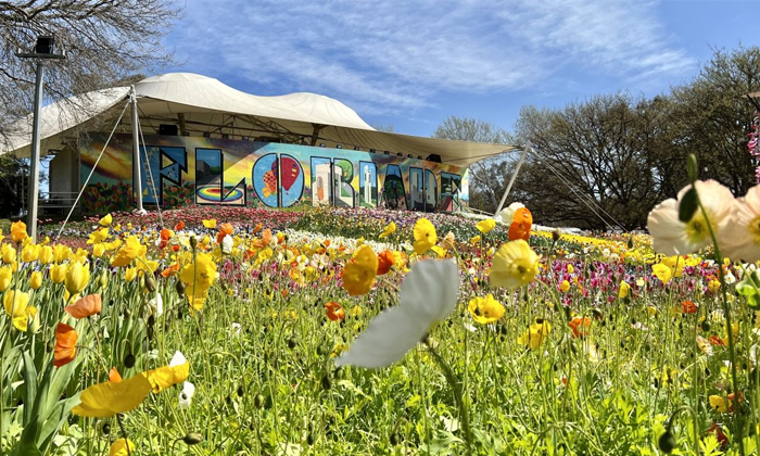  Know About Floriade 2023 Flower Festival Held In Australia Canberra Details, Spr-TeluguStop.com