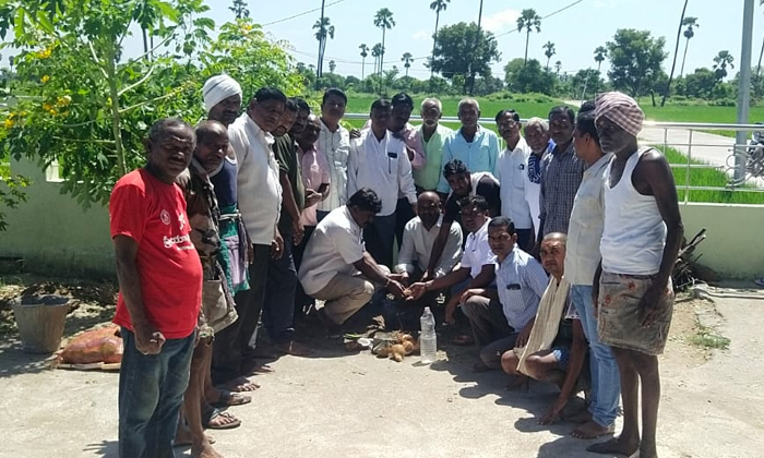  Members Of The Gowda Community Planted Short Palm Hybrid Seeds In The Premises O-TeluguStop.com