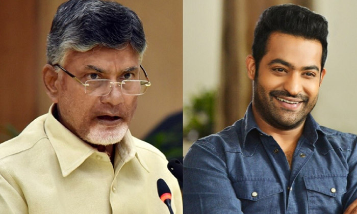  Young Tiger Junior Ntr Imp For Telugudesham Party Details Here Goes Viral, N-TeluguStop.com