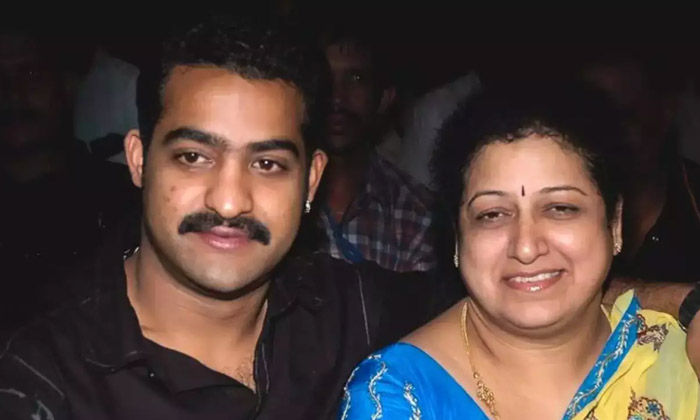  Interesting Facts Viral About Jr Ntr , Ntr, Harikrishna, Shalini, Tollywood , N-TeluguStop.com