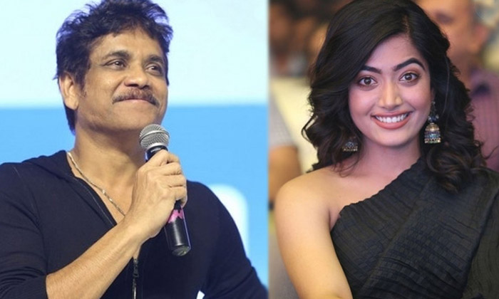 Hero Nagarjuna Secreat Phone Call To Rashmika Mandanna Hero Nagarjuna Secreat Phone Call To Rashmika Mandanna-TeluguStop.com