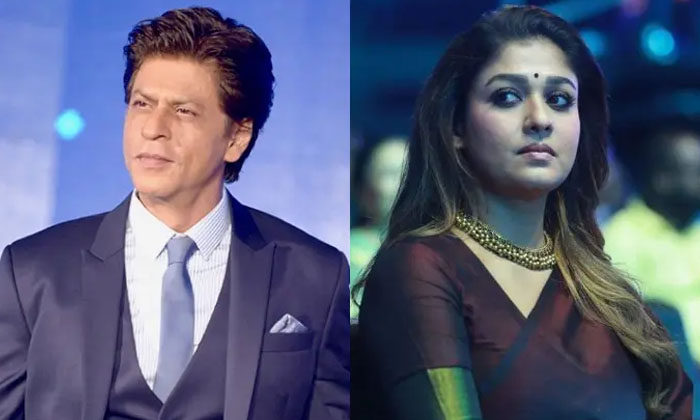  Nayanatara Unhappy Shahrukh Khanand Atlee Full Details Here , Nayanatara, Vignes-TeluguStop.com