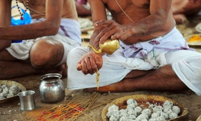 Telugu Amavasya, Ancestors, Bhakti, Crow, Devotional, Dogs, Pitru Paksham-Latest
