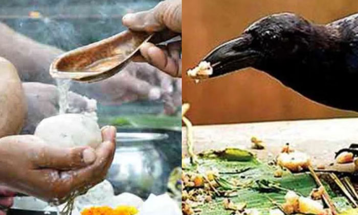  These Are The Things That Should Not Be Done On Pitru Paksham Day , Purnima ,-TeluguStop.com