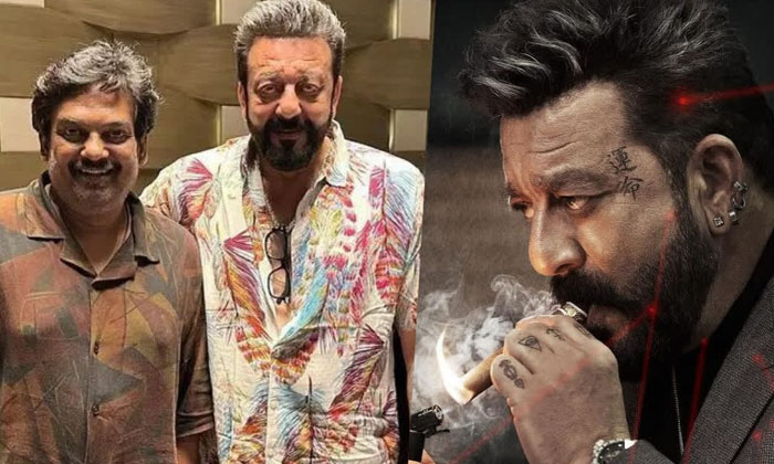 Telugu Double Ismart, Doubleismart, Hindi, Puri Jagannadh, Ram Pothineni, Sanjay Telugu Double Ismart, Doubleismart, Hindi, Puri Jagannadh, Ram Pothineni, Sanjay