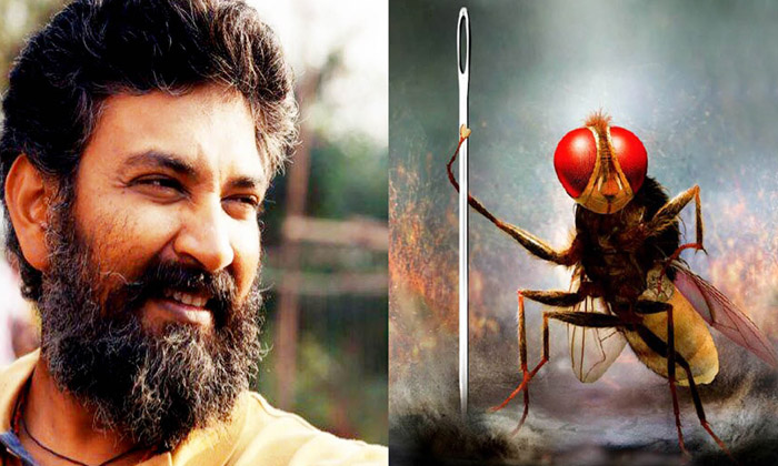  Did Rajamouli Copy That Scene Or Was He Inspired , Rajamouli , Eega Movie , N-TeluguStop.com