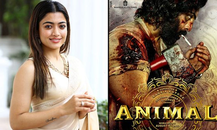 Telugu Animal, Bollywood, Fansrashmika, Goodbye, Kollywood, Ranbir Kapoor, Sande