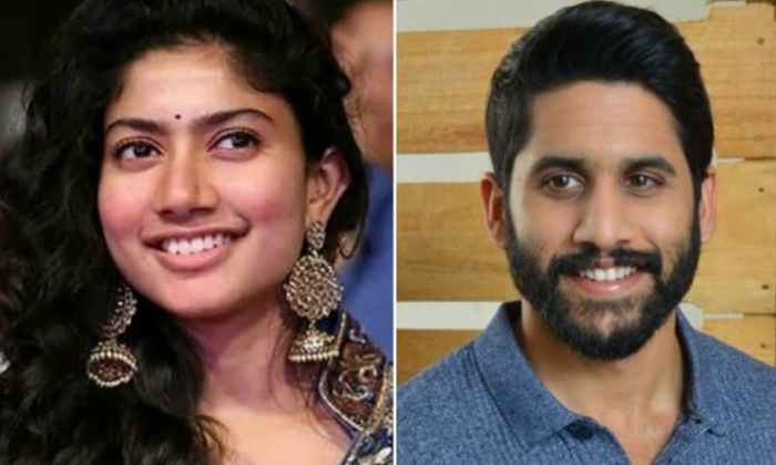  Sai Pallavi Demands Huge Remuneration For Naga Chaitanya Chandoo Mondeti Movie,s-TeluguStop.com