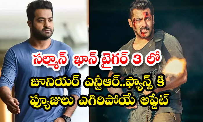 సల్మాన్ ఖాన్ టైగర్ 3 లో జూనియర్ ఎన్టీఆర్..ఫ్యాన్స్ కి ఫ్యూజులు ...