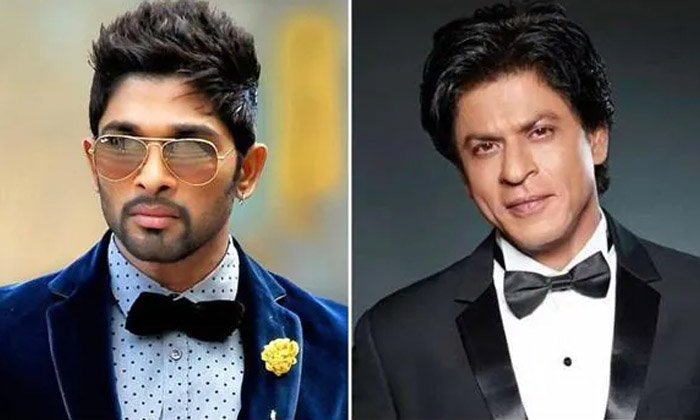 Telugu Allu Arjun, Bollywood, Jawan, Pushpa, Shahrukh Khan, Sukumar, Tollywood-M