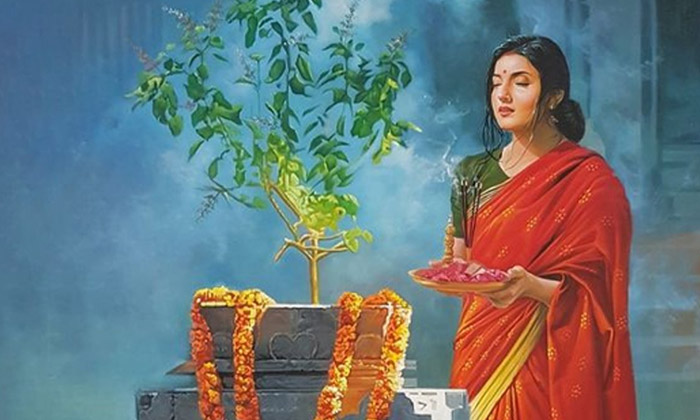  By Worshiping The Tulsi Plant Like This.. With The Grace Of Goddess Lakshmi, We-TeluguStop.com