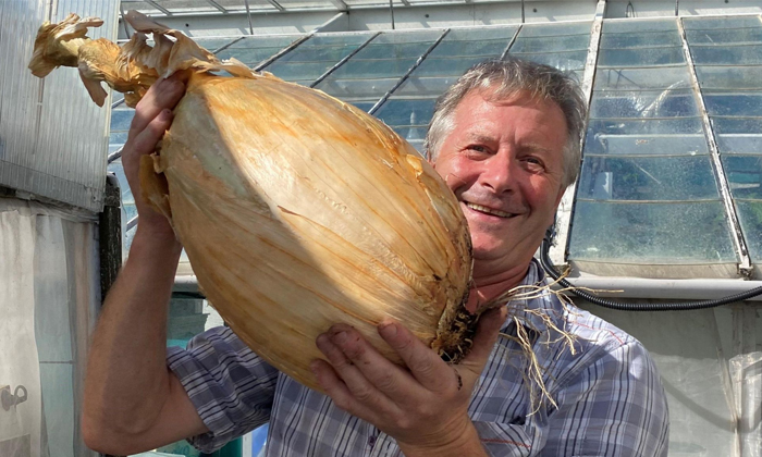  Uk Gardener Grows Massive 9 Kg Onion Set Guinness World Record Details, Onion, W-TeluguStop.com