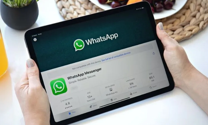  Whatsapp Finally Has An Ipad App Now In Beta Details, Good News, Ipad Users, Wha-TeluguStop.com