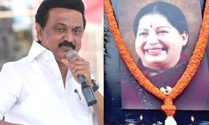  Why Jayalalitha Likes Stalin Somuch , Tamil Nadu Politics, Jayalalitha, Karunan-TeluguStop.com