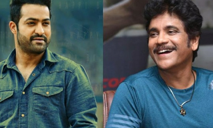  Why Ntr Not Anr 100th Birthday Anniversary Ntr, Anr, Nagarjuna, Devara-TeluguStop.com