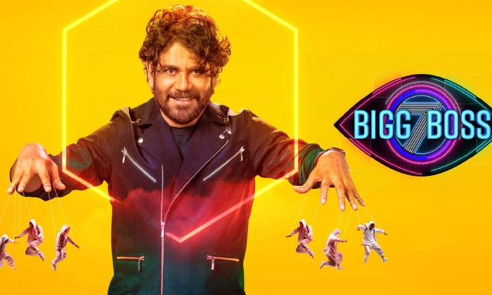  Bigg Boss Wild Card Entrys 7 Members List Full Details Inside-TeluguStop.com