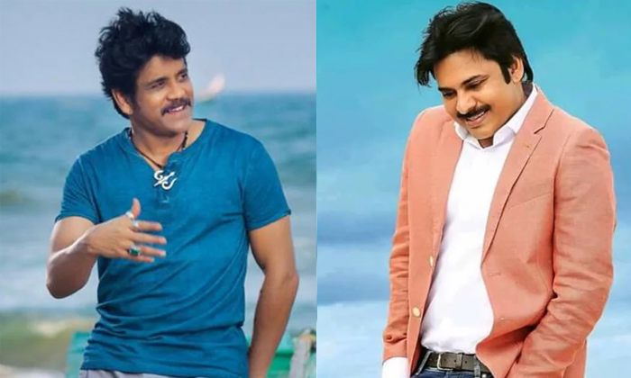 Telugu Big, Chamber, Nagarjuna, Nagarjunapawan, Pawan Kalyan, Pawankalyan, Thamm Telugu Big, Chamber, Nagarjuna, Nagarjunapawan, Pawan Kalyan, Pawankalyan, Thamm