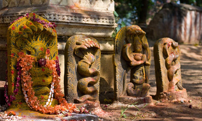 Telugu Milk, Naga Devatha, Naga Panchami, Nagamani, Nagula Chavithi, Pooja, Reve