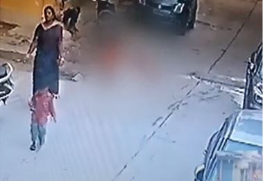  Once Again A Dog Attack In Hyderabad-TeluguStop.com