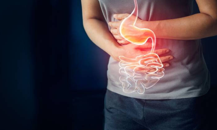 Telugu Clove, Tips, Insects, Rainy Season, Vegetables-Telugu Health