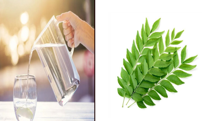  How To Detox Our Body With Curry Leaves , Curry Leaves, Curry Leaves Health-TeluguStop.com