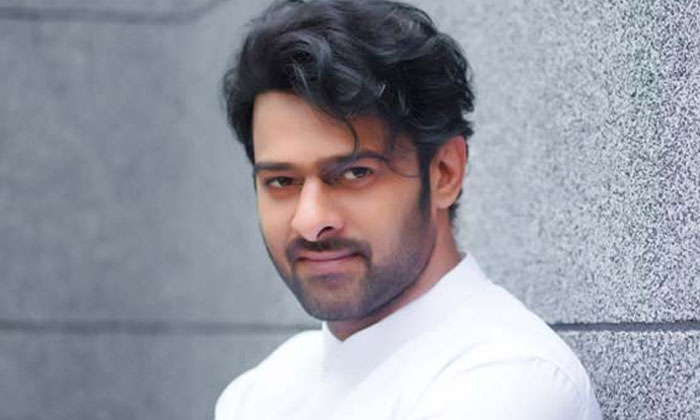  Actress Madhumani Comments About Prabhas Goes Viral In Social Media Details Here-TeluguStop.com