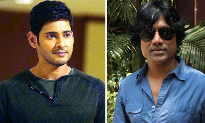 Mahesh Babu Fans Don't Want Movie With Sj Surya , Sj Surya, Mahesh Babu, S J Sur Mahesh Babu Fans Don't Want Movie With Sj Surya , Sj Surya, Mahesh Babu, S J Sur-TeluguStop.com