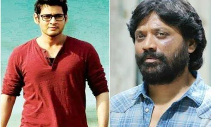 Telugu Kollywood, Mahesh Babu, Surya, Tollywood-Movie Telugu Kollywood, Mahesh Babu, Surya, Tollywood-Movie