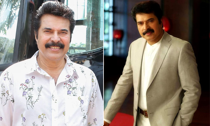  Mammootty Straight Movies In Telugu-TeluguStop.com