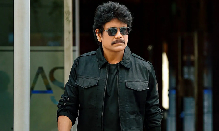  Nagarjuna Movies Unexpected Hits Geetanjali Shiva Details, Nagarjuna, Nagarjuna-TeluguStop.com