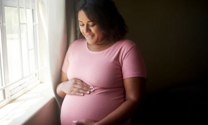 Telugu Baby, Cholesterol, Eggs, Tips, Pregnant-Telugu Health