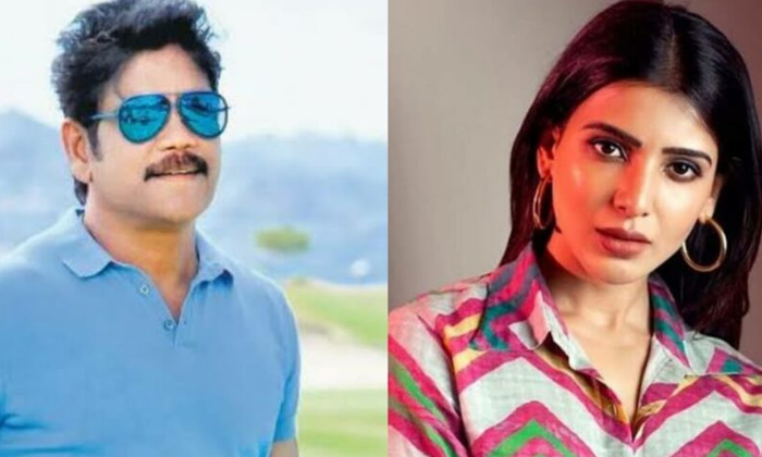  Samantha Is Extremely Hurt By Nagarjuna Decision , Samantha, Nagarjuna ,decision-TeluguStop.com