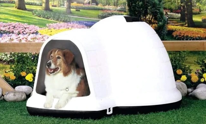 Telugu Ac, Igloo, Igloo Dog, Latest, Pet Dogs, Seungmin Lee, Small Ac, Korea-Lat Telugu Ac, Igloo, Igloo Dog, Latest, Pet Dogs, Seungmin Lee, Small Ac, Korea-Lat