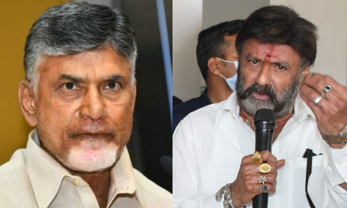  Tdp Fans Opinion About Balakrishna Replace Chandrababu Details Here Goes Viral-TeluguStop.com